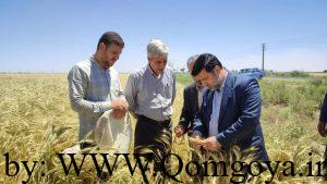 مراکز خدمات کشاورزی خاکریز خط مقدم جهادکشاورزی است