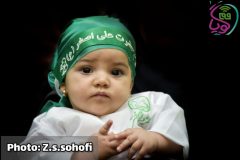 همایش مذهبی شیرخوارگان حسینی در حرم حضرت معصومه(س)