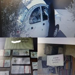 دستگیری سارق طلاجات کهنسالان 