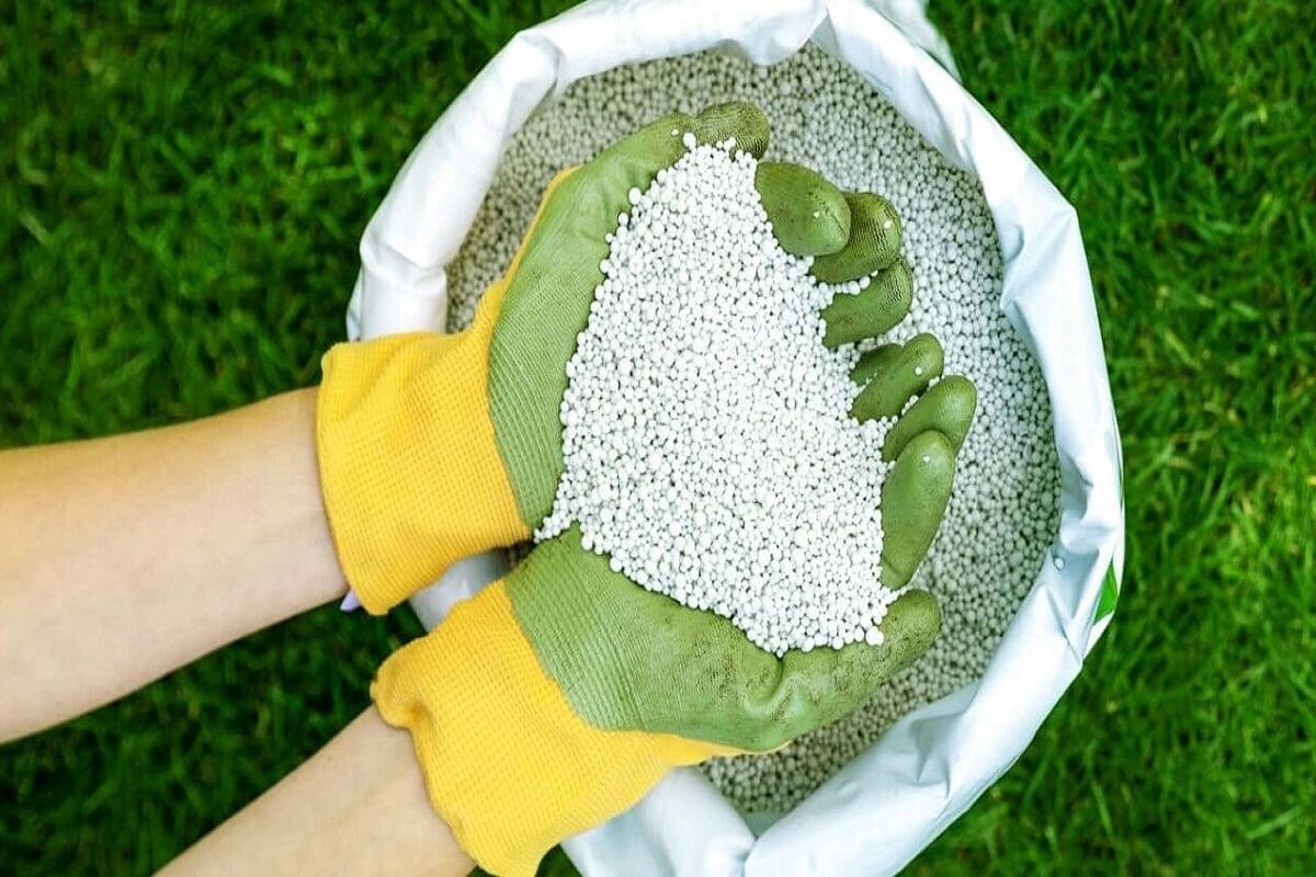 بیش از 3 هزار تن کودهای یارانه ای آماده توزیع در استان قم