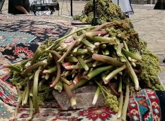 برگزاری دومین جشنواره ریواس در خلجستان قم